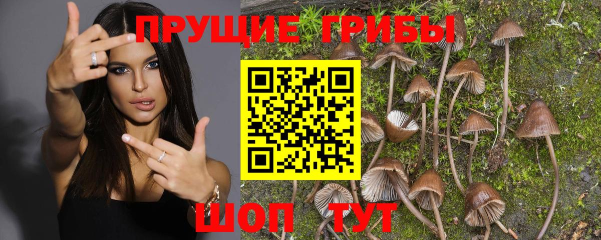 Бошки Шишки  Кольчугино  Вход с VPN  Кокаин  Меф   Гашиш 