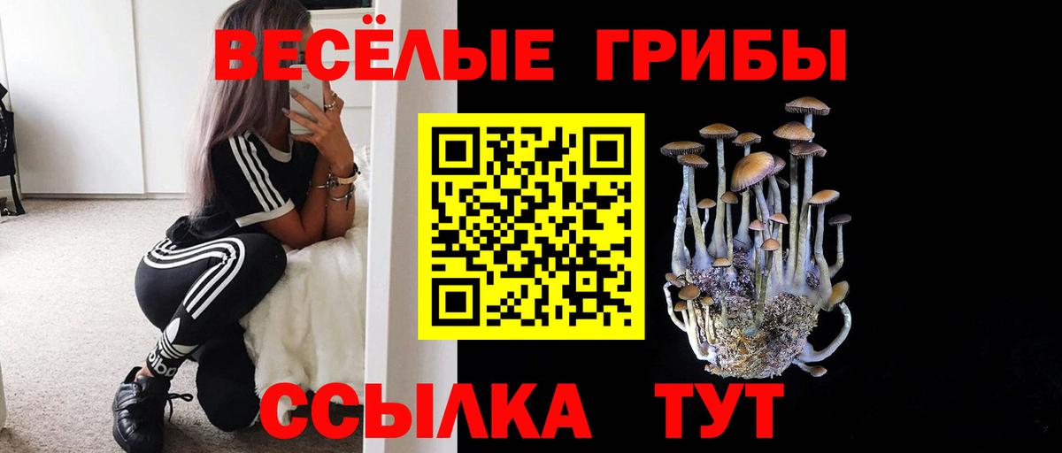 хочу   Вход с VPN  Кольчугино  Псилоцибиновые грибы прущие грибы 