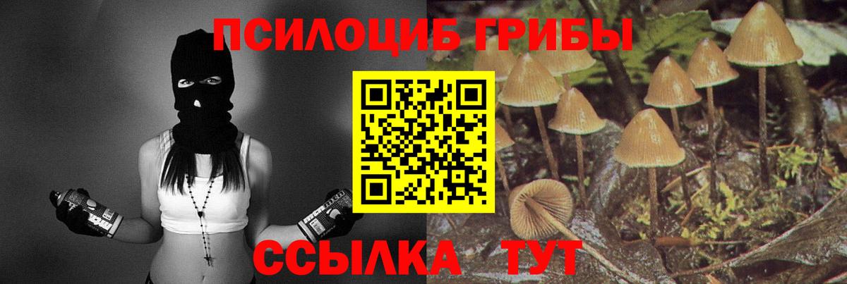 Псилоцибиновые грибы GOLDEN TEACHER Кольчугино
