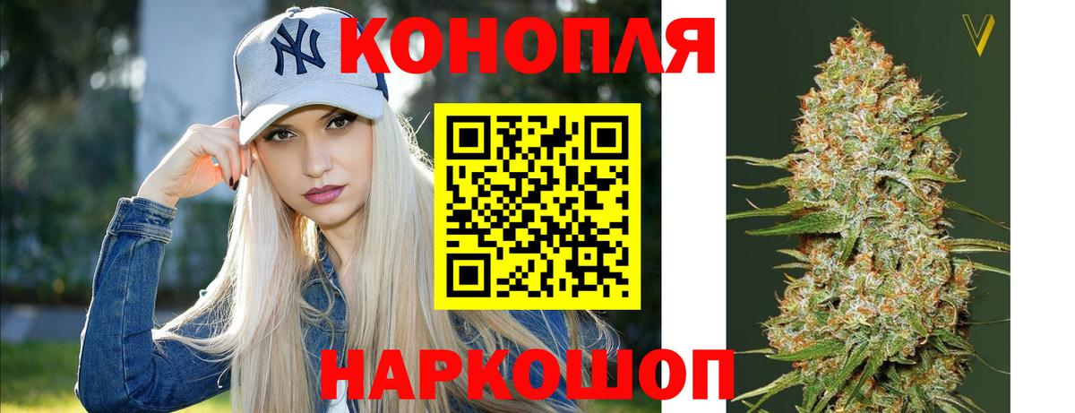 Бошки марихуана гибрид Кольчугино