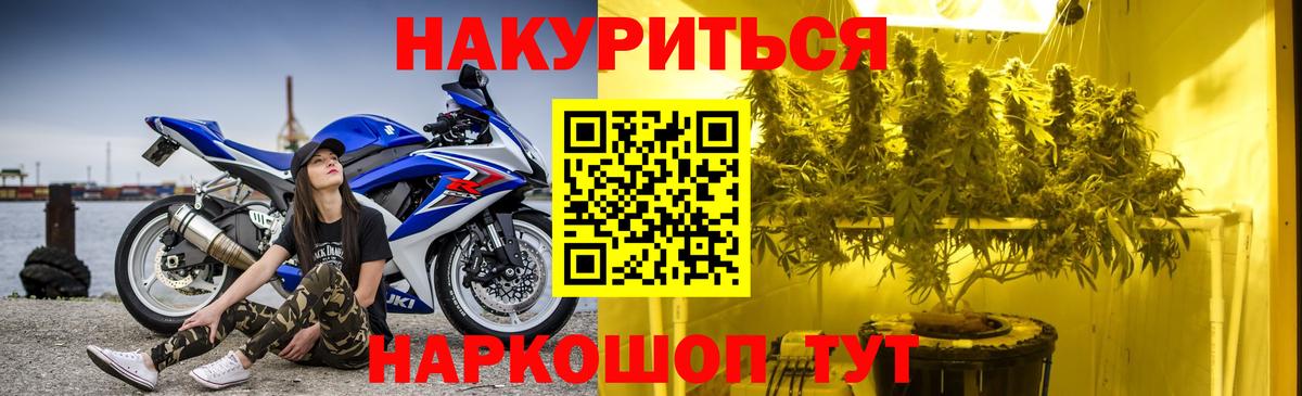 Каннабис планчик  МАРИХУАНА ГИДРОПОН  Вход с VPN  Марихуана Bruce Banner  Кольчугино  Бошки марихуана VHQ 